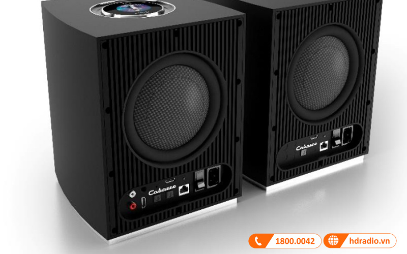 Các cổng kết nối mặt sau loa