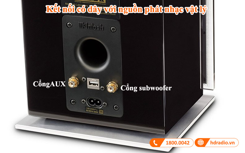 ket noi co day loa mcintosh rs100