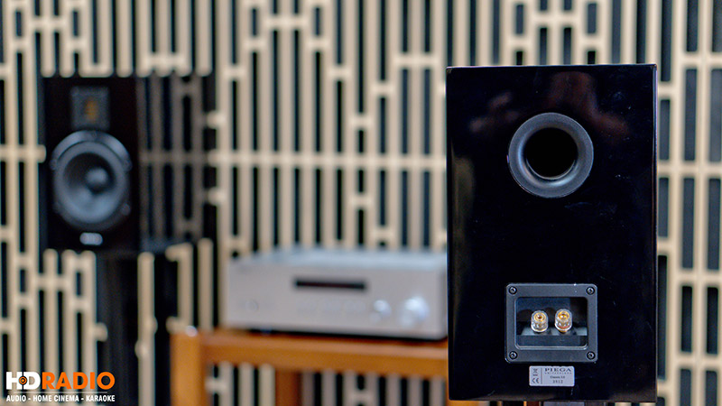 Ảnh thực tế Loa Piega Classic 3.0 black piano