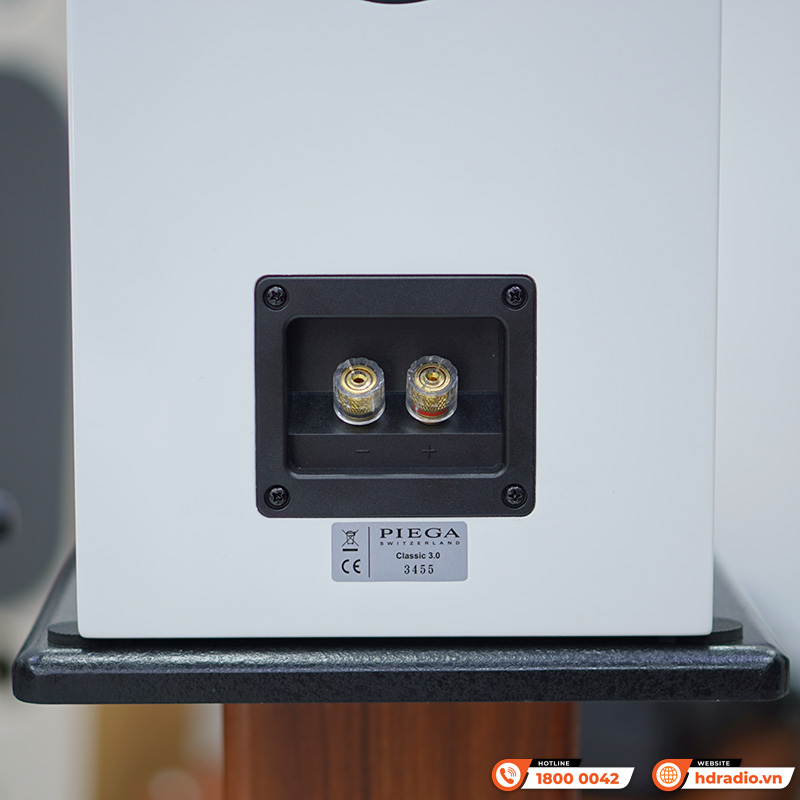 Loa Piega Classic 3.0 (Độ nhạy 89dB, Tần số 38Hz-40KHz)-13