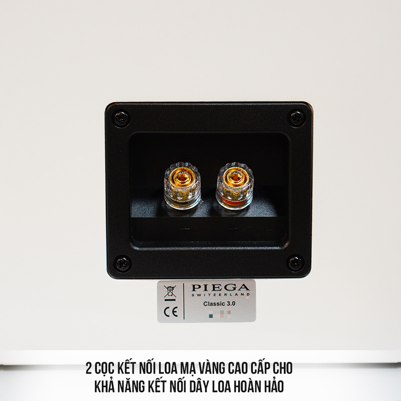 cọc kết nối Loa Piega Classic 3.0