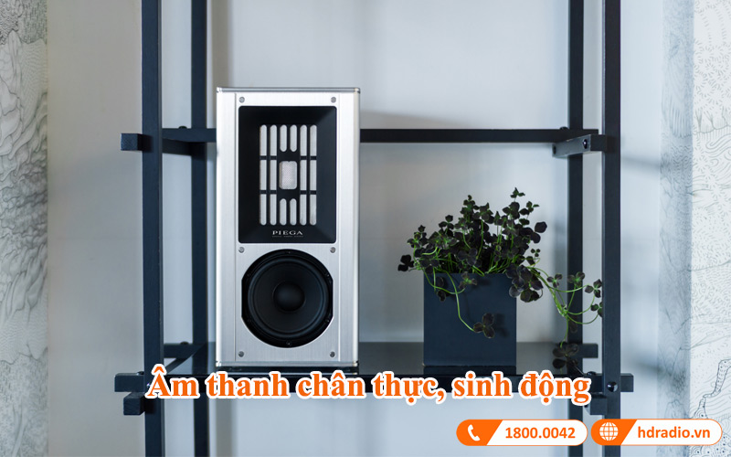 am thanh loa piega coax 311 am thanh loa piega coax 311