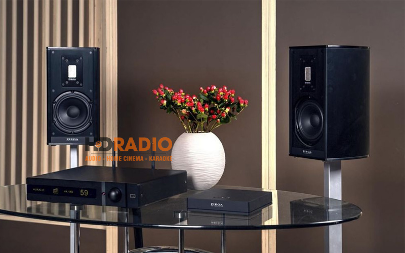 ung dung loa piega premium wireless 301