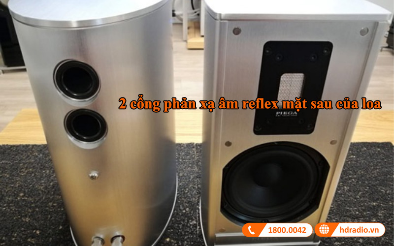 cong phan xa am loa bookshelf piega premium 301