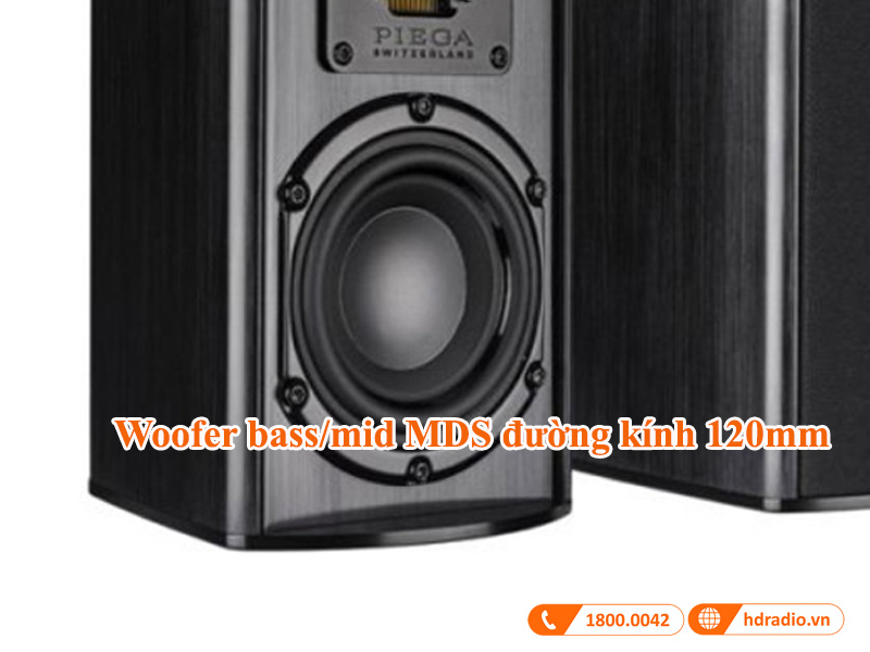 woofer loa piega tmicro 40 amt
