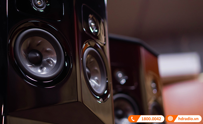 anh thuc te 2 loa polk audio legend l800