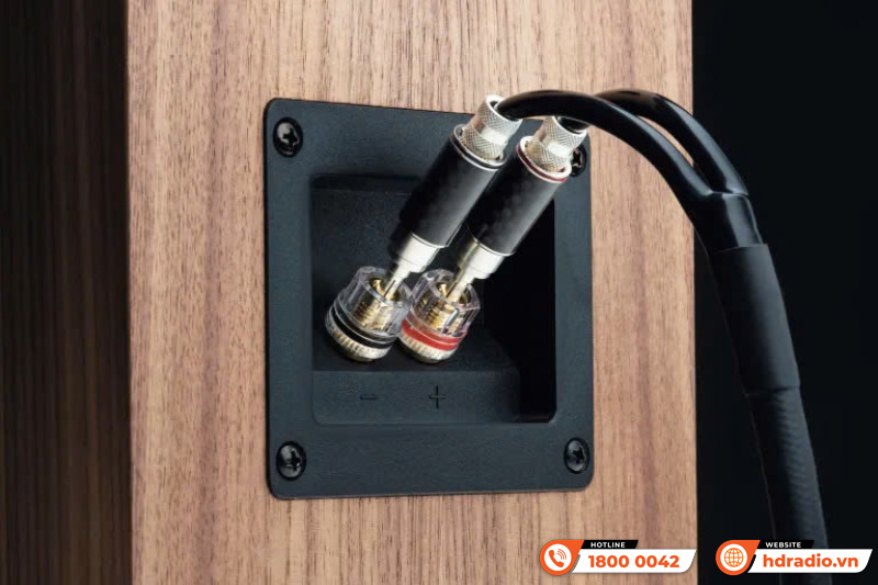 Loa Pro-Ject Speaker Box 5 S2