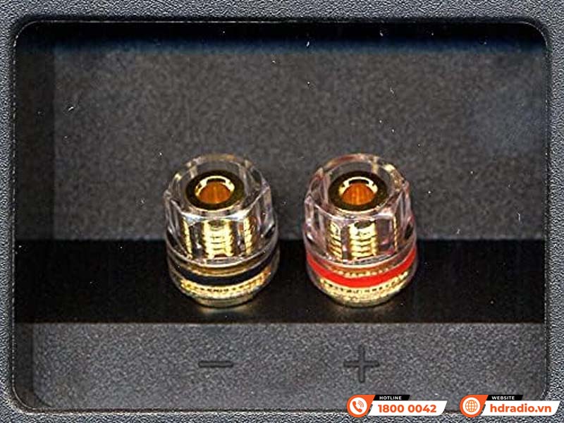 Loa Pro-Ject Speaker Box 5 Loa Pro-Ject Speaker Box 5