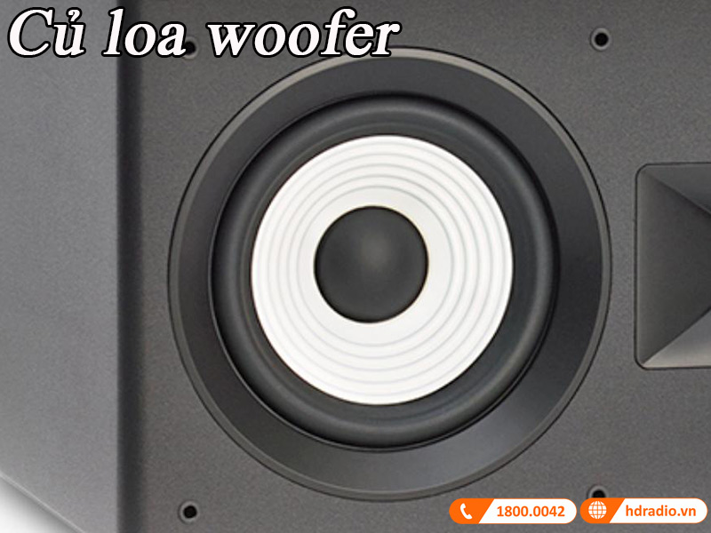 cu loa woofer