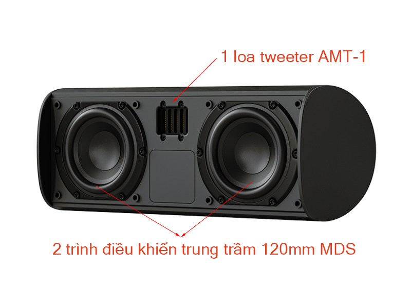 Bộ Loa Piega Ace Center Wireless gồm TX và RX