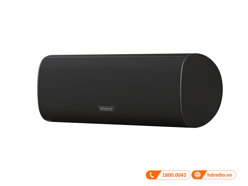 Loa Piega Ace Center Wireless 