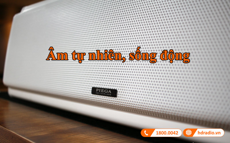 am thanh loa center piega premium large am thanh loa center piega premium large