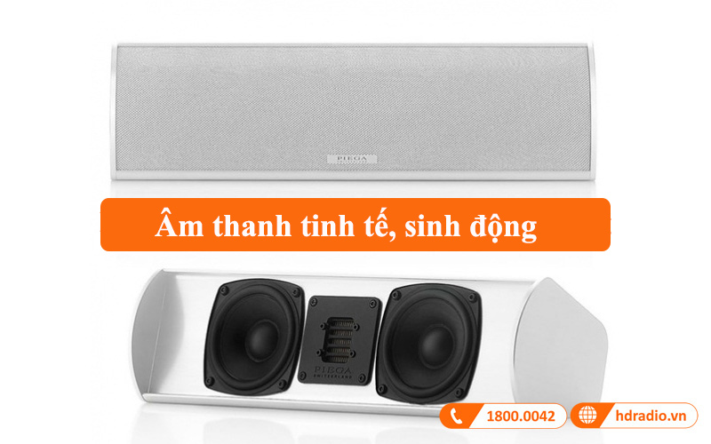 am thanh loa piega tmicro center amt