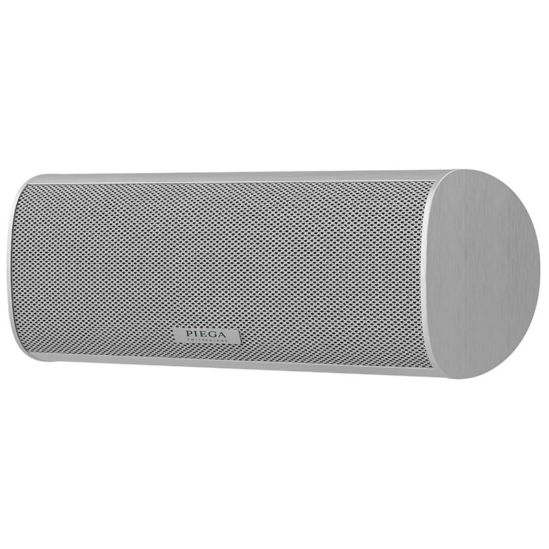 Loa Piega ACE Center (Độ nhạy 87dB, Tần số 50Hz-40KHz)