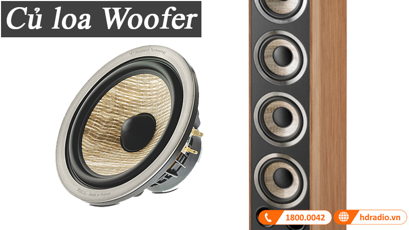 Cu loa Woofer Focal Aria 936 Cu loa Woofer Focal Aria 936