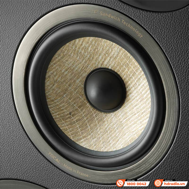 Loa Focal Aria Evo X No4