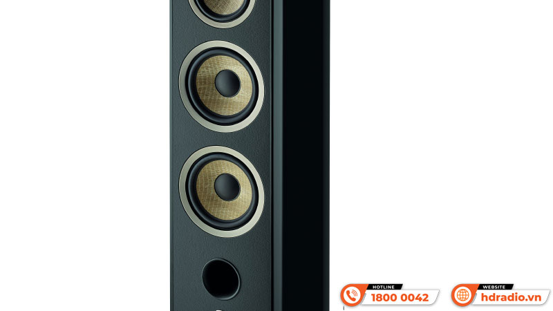 Loa Focal Aria Evo X No4