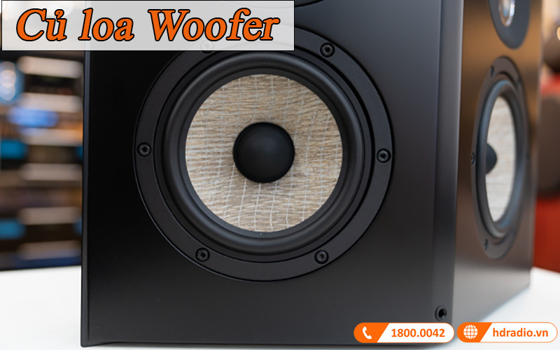 Cu loa Woofer