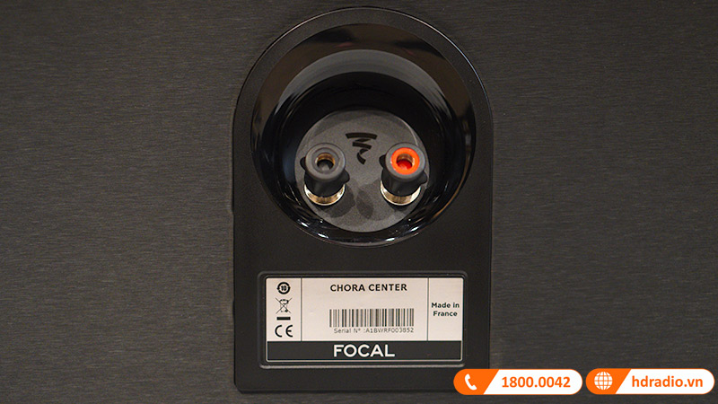 Cổng kết nối loa Focal Chora Center