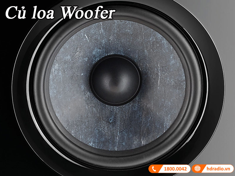 bass mid Loa Focal Chora Center