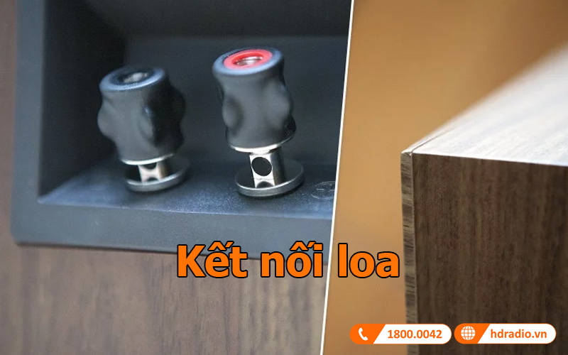 ket noi loa bookshelf focal chorus 706 ket noi loa bookshelf focal chorus 706