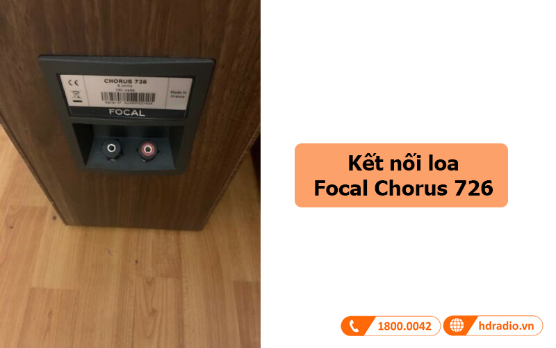 ket noi loa focal chorus 726