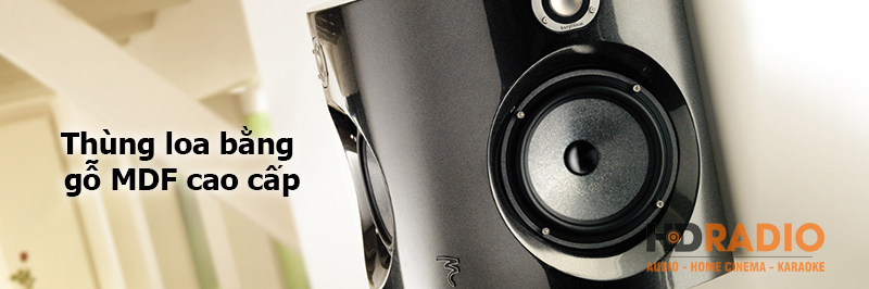 thung loa focal surround be