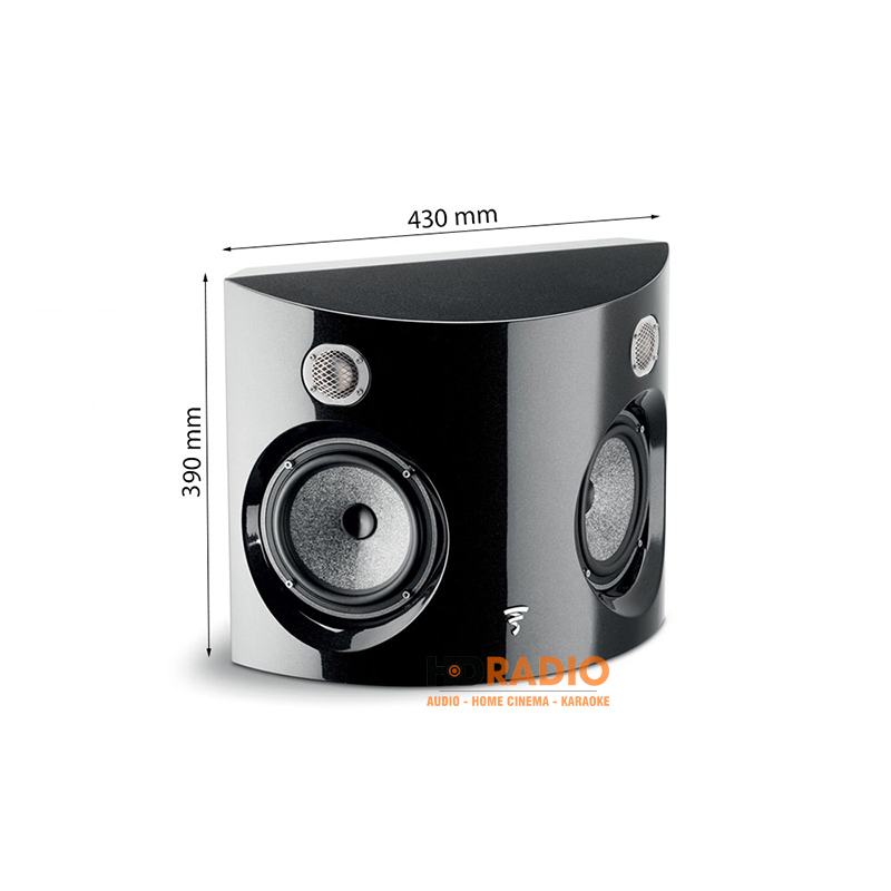 kich thuoc loa focal surround be