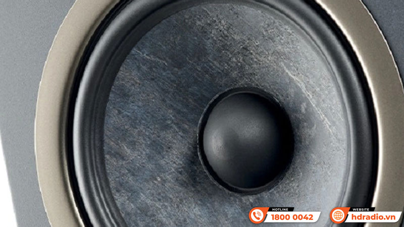 Củ Loa Focal Theva No2