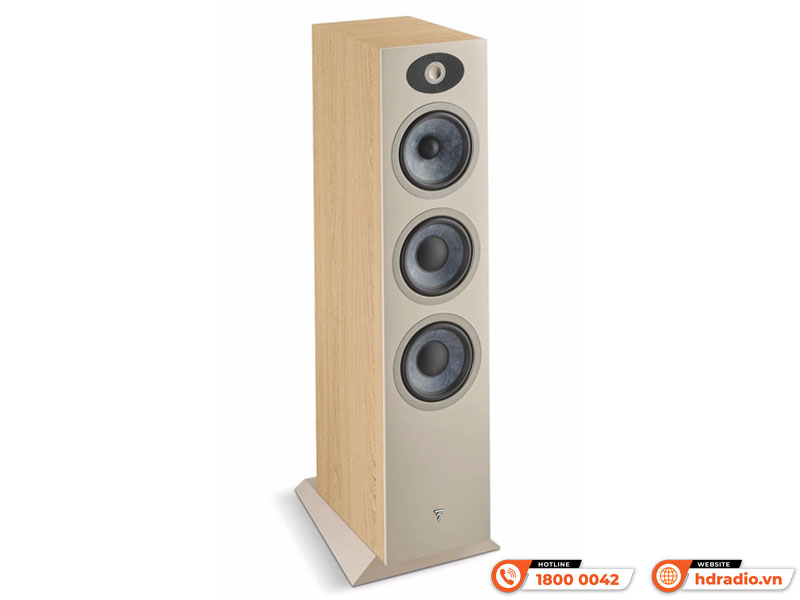 Củ loa Focal Theva No3