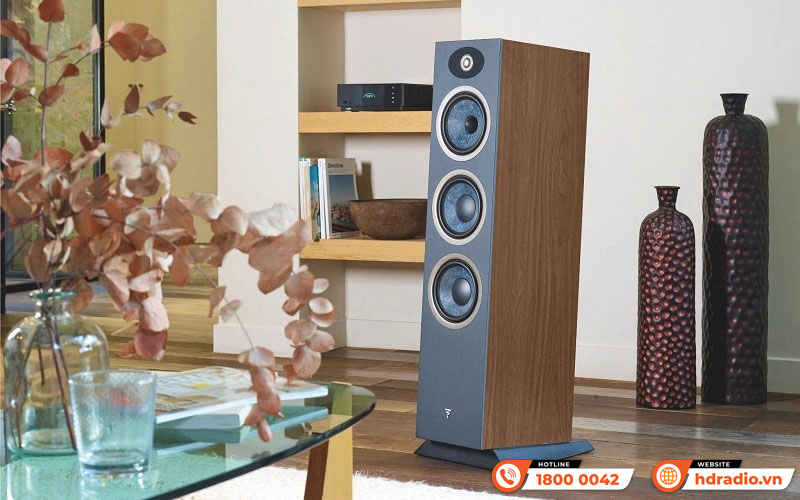Thiết kế Loa Focal Theva No3