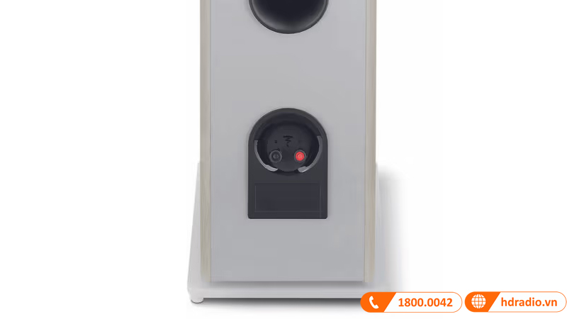 Loa Focal Vestia No2 kết nối 