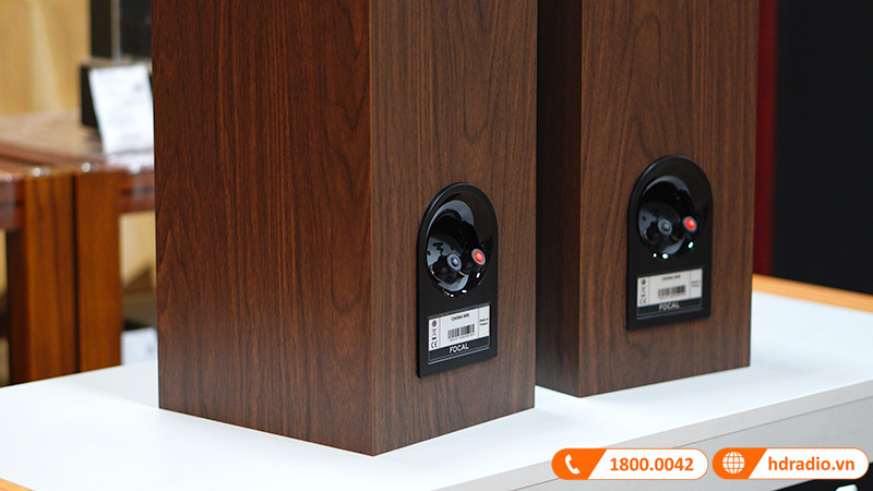 Cổng kết nối loa Focal Chora 806