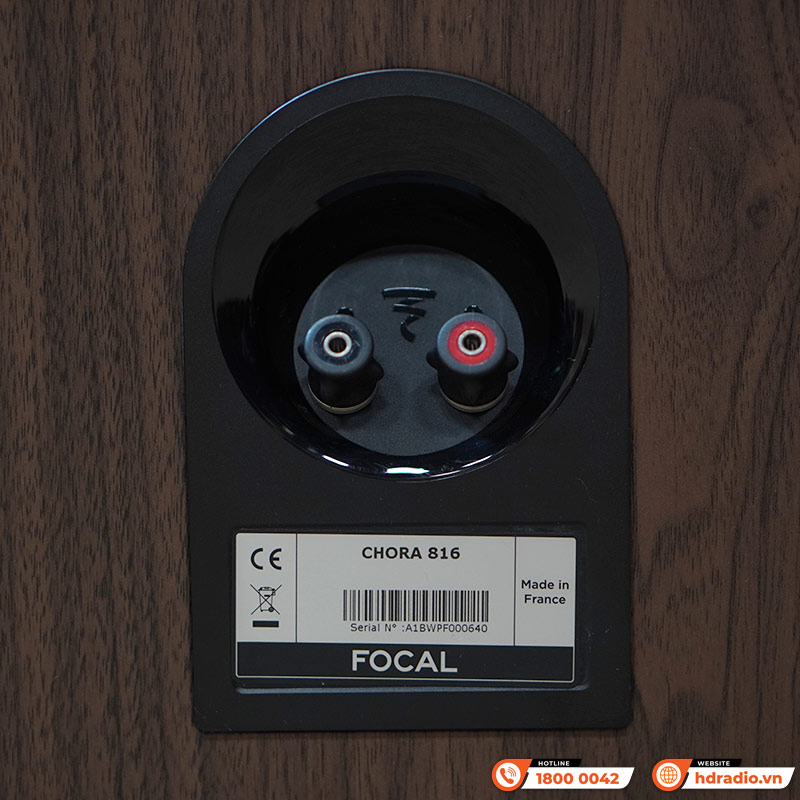 Loa Focal Chora 816 (Độ nhạy 89,5dB, Tần số 50Hz-28KHz)-10