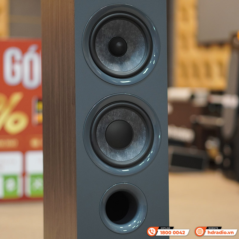 Loa Focal Chora 816 (Độ nhạy 89,5dB, Tần số 50Hz-28KHz)-6