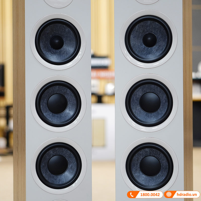 Loa Focal Chora 826 (Độ nhạy 91dB, Tần số 48Hz-28KHz)-5