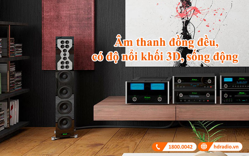 am thanh loa mcintosh xr100