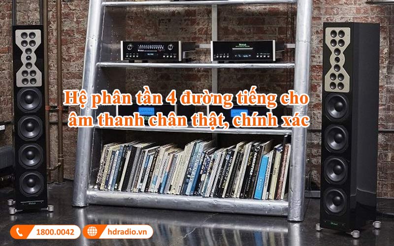 he phan tan loa mcintosh xr100