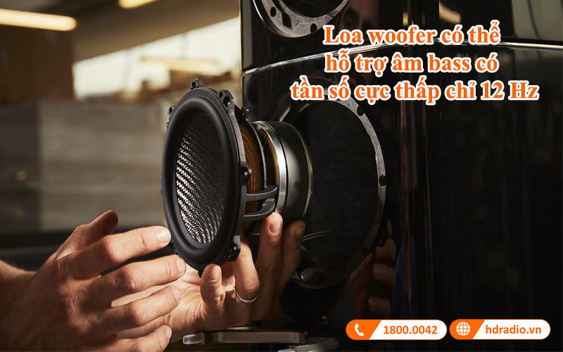 loa woofer loa front hi end mcintosh xrt11k