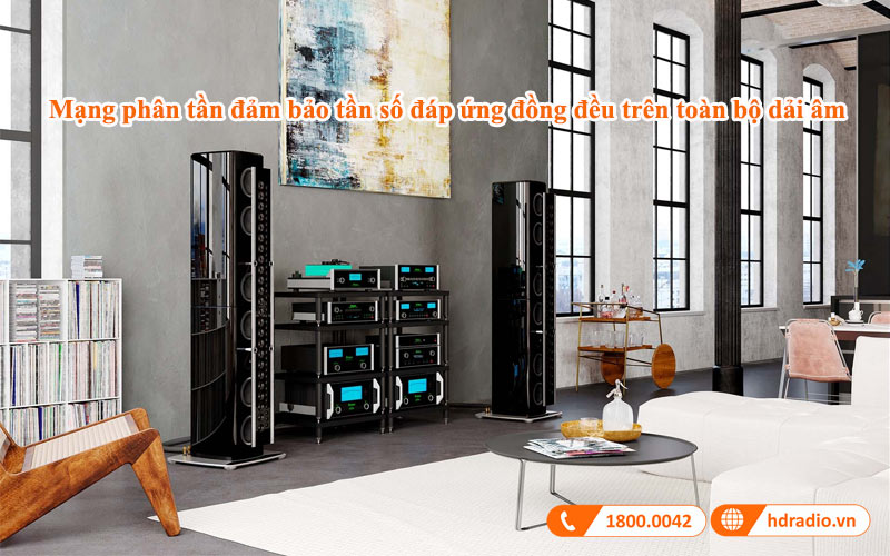 mang phan tan loa mcintosh xrt11k