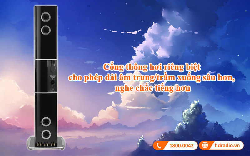 cong thoat hoi loa mcintosh xrt21k