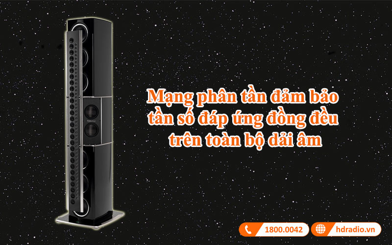 mang phan tan loa mcintosh xrt21k