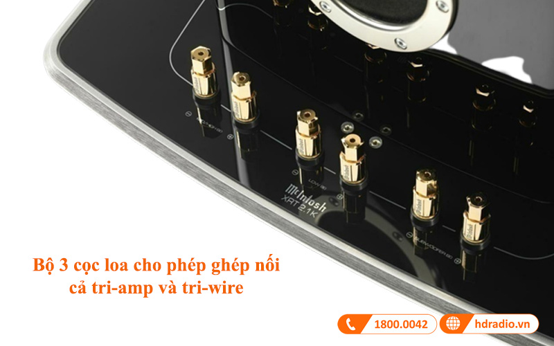 ket noi loa mcintosh xrt21k