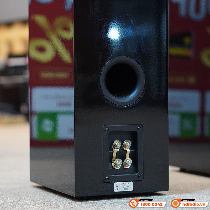 Loa Piega Classic 7.0 (Độ nhạy 91dB, Tần số 34Hz-40KHz)-8