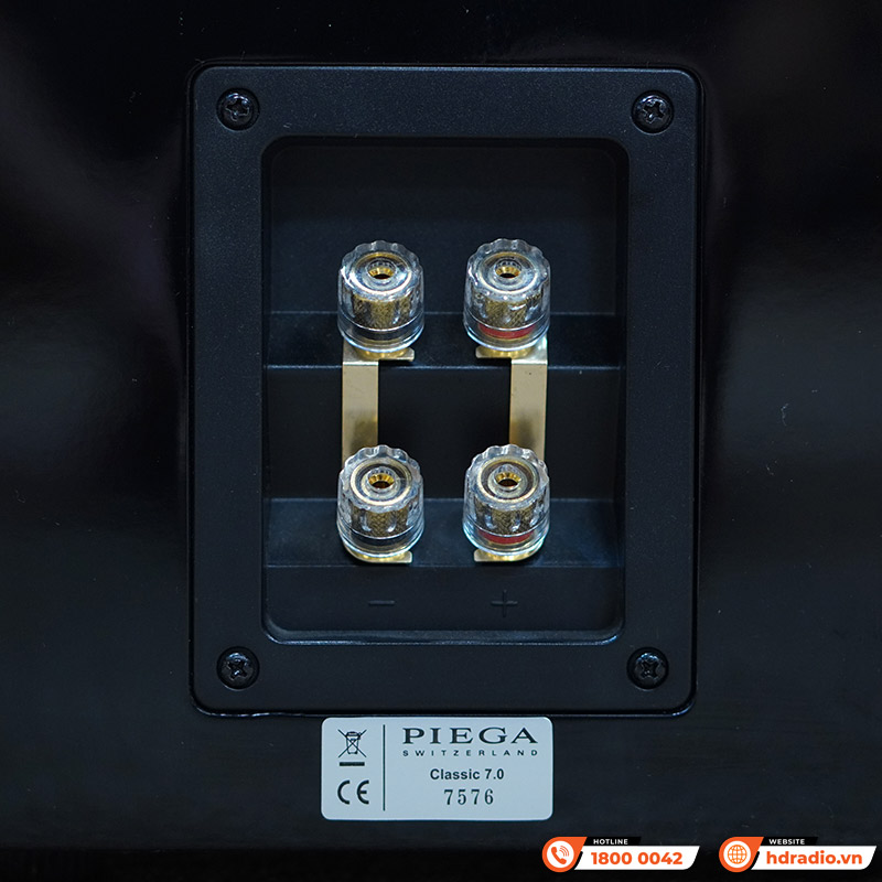 Loa Piega Classic 7.0 (Độ nhạy 91dB, Tần số 34Hz-40KHz)-9