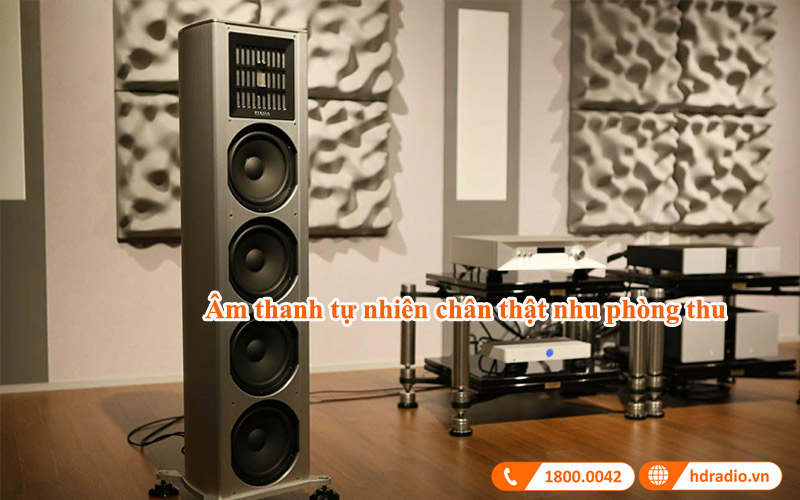 am thanh loa front loa dung piega coax 711