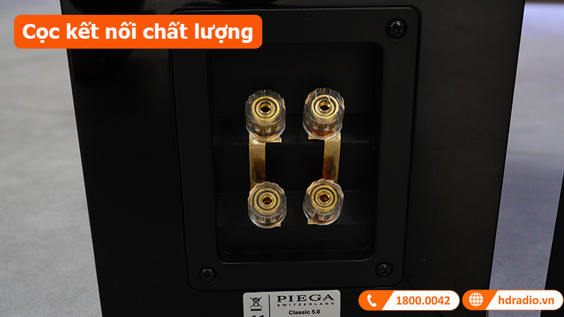Loa Piega Classic 5.0 cọc kết nối chất lượng