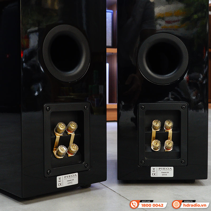 Loa Piega Classic 5.0 (Độ nhạy 91dB, Tần số 36Hz-40KHz)-6