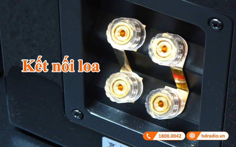 ket noi loa Piega Classic 5.0