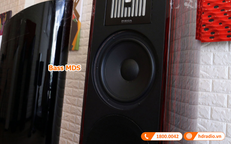 Bass MDS loa Piega Classic 80.2